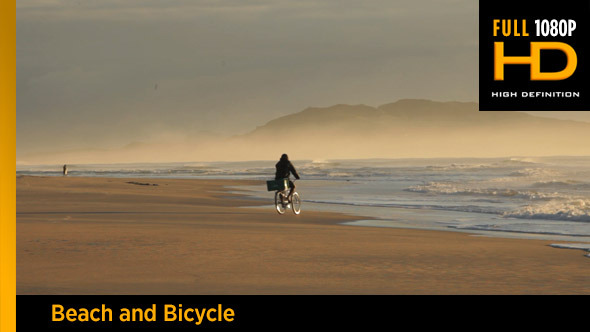 Beach and Bicycle