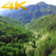 Aerial Forest Aerial Forest - VideoHive Item for Sale