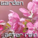 Blossoming Garden After Rain Blossoming Garden After Rain - VideoHive Item for Sale