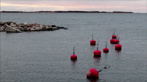 Buoy Floating Near the Shore alt