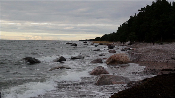 Rocks on the Shoreline and the Forest at the Side