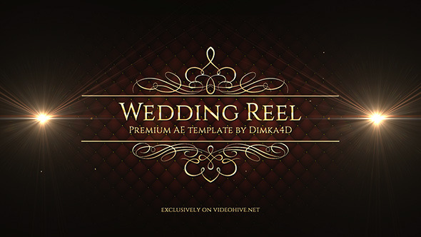 Wedding Reel - VideoHive 11612530