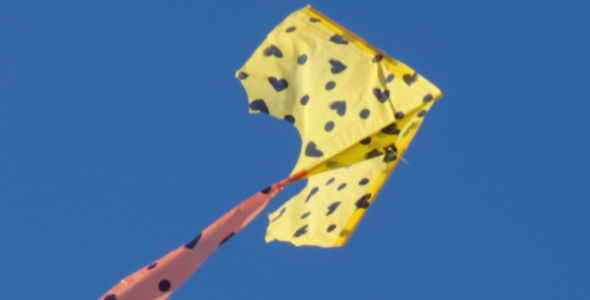 Yellow kite 