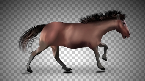 Realistic Horse Running