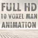 Voxel Man - VideoHive Item for Sale