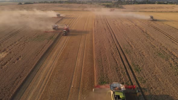 Aerial shot: flyin behind combine harvesting wheat