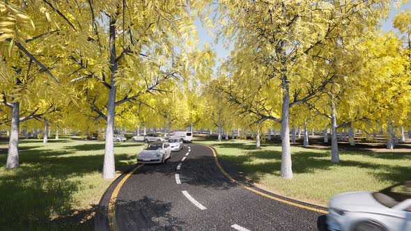 Autumn Car Traffic Landscape on Yellow Backdrop Travel Concept Fall Foliage alt