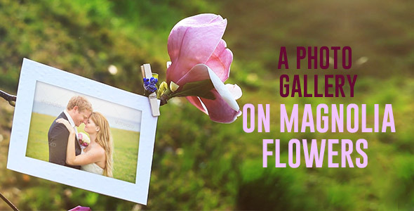 A Photo Gallery - VideoHive 11498836