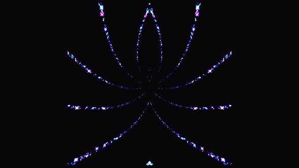 animated spider outline shape of glowing neon lines, on black background alt