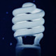 Light Bulbs 3 - VideoHive Item for Sale
