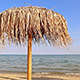 Beach Umbrella - VideoHive Item for Sale
