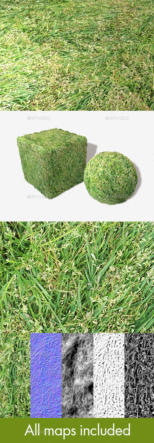 Long Trampled Grass - 3Docean 11677129