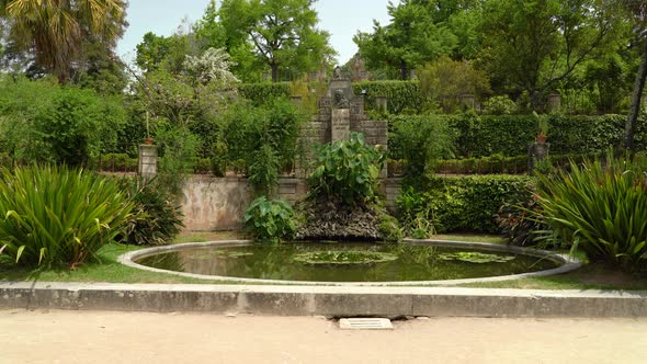 Beautiful Pond in Botanical Garden of the University of Coimbra