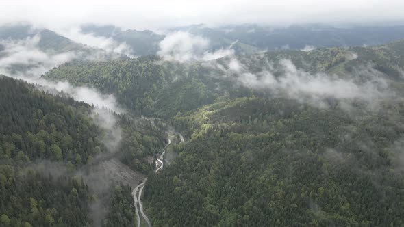 Ukraine, Carpathian Mountains: Beautiful Mountain Forest Landscape. Aerial, Flat, Gray alt