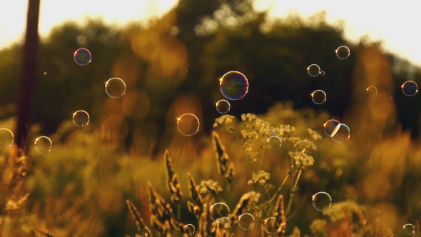 Bubbles World