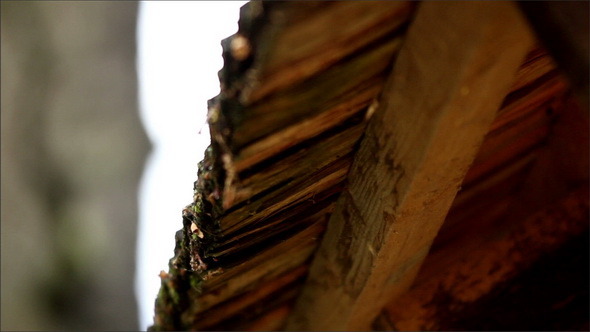 Dirt and Moss are Found in the Wooden Roof Shingle