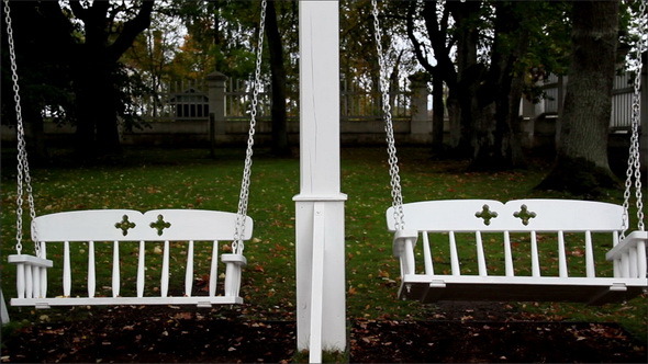 Bench Swings and Trees
