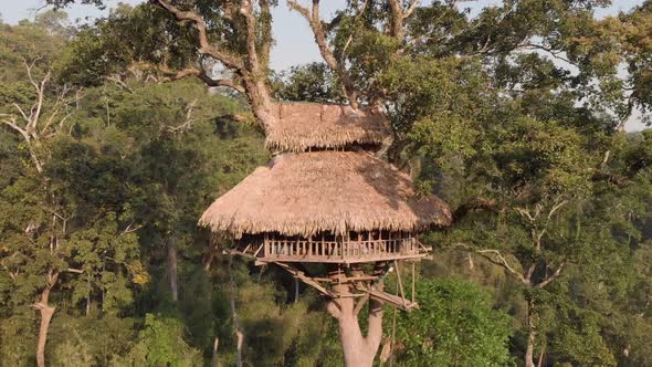 Aerial view of tree house consturction in Laos. alt