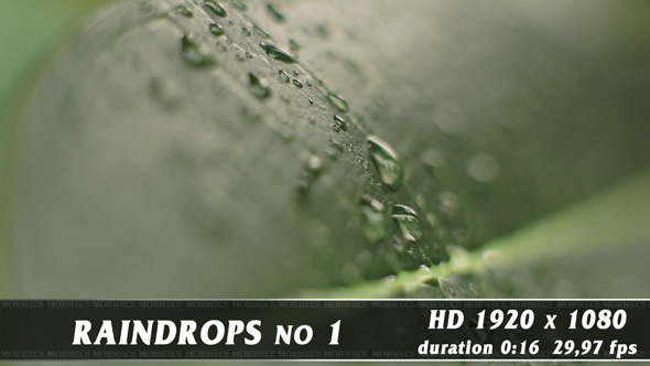 Raindrops No.1