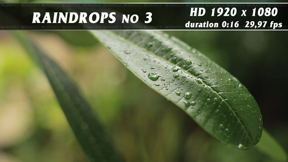 Raindrops No.3