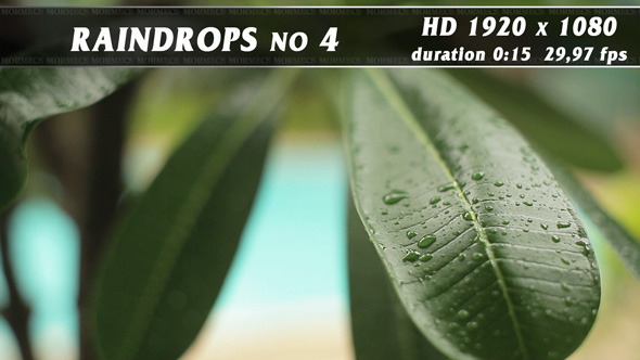 Raindrops No.4