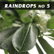 Raindrops No.5 - VideoHive Item for Sale