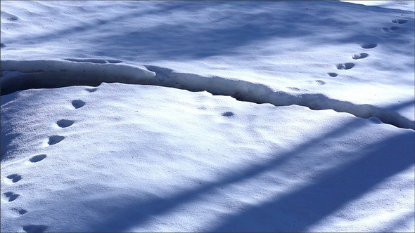 An Area Covered with Thick Snow 