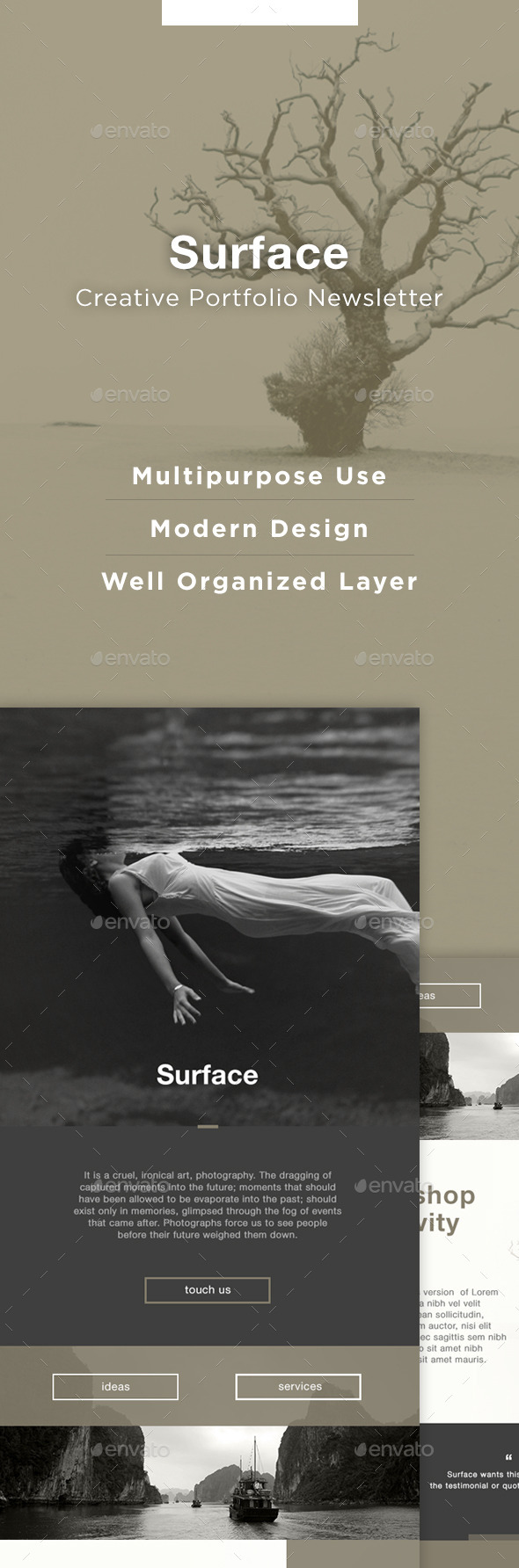 Surface E-Portfolio - E-newsletters Web Elements