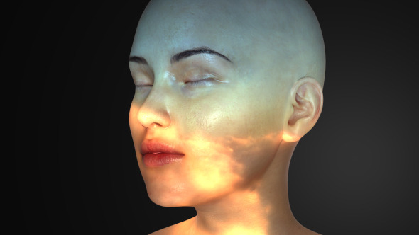 Facial Projections
