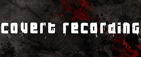 Audio jungle banner