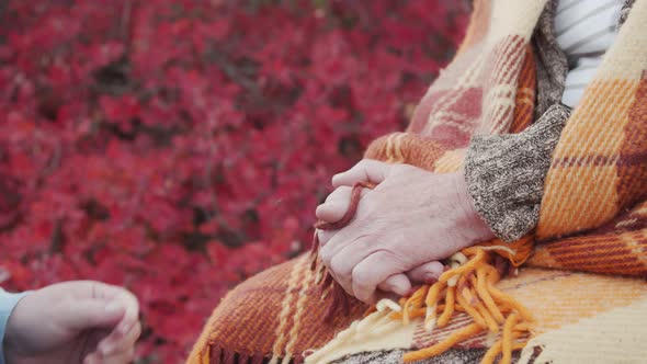 The Hands Take the Hands of an Elderly Mother Who Sits in a Blanket Against the Backdrop of an alt