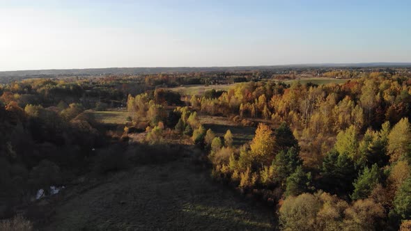 Autumn forest seen from above alt