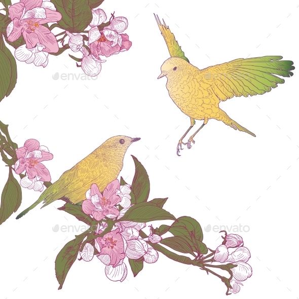 Apple Tree and Two Birds - Flowers & Plants Nature
