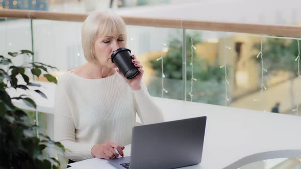 Mature Caucasian Serious Woman Office Worker Businesswoman Sitting at Desk Looking in Screen Laptop alt