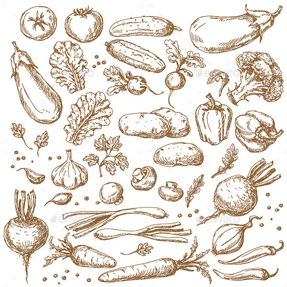 Vegetables Set - Food Objects