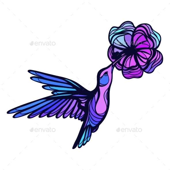 Flying Tropical Hummingbird On White Background - Flowers & Plants Nature