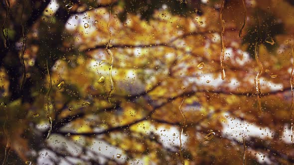 Falling rain drops on window surface