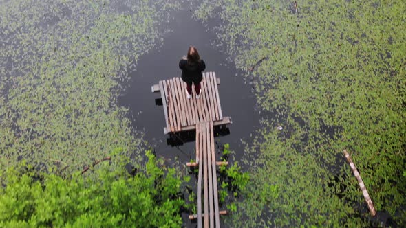 Plants in the Swamp Top View alt