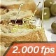 Oil On Roasted Bread - VideoHive Item for Sale