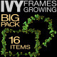 Ivy Frames Growing Pack - VideoHive Item for Sale