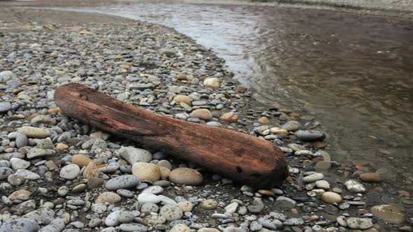 Driftwood On Ruby Beach alt