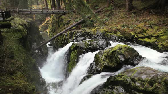 Sol Duc Falls alt
