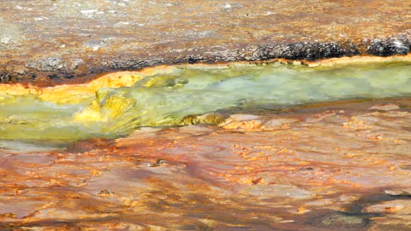 Midway Geyser Basin 1 alt