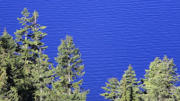 Trees And Crater Lake alt