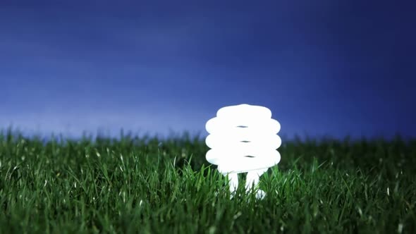 Energy Saving Light Bulb 3 alt