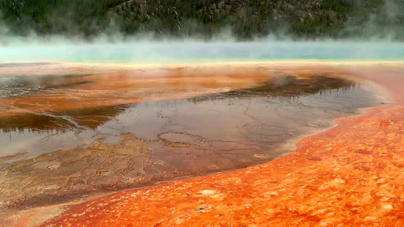 Colorful Bacteria Mat Surrounding Grand Prismatic Spring 2 alt