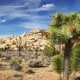 Joshua Tree National Park 1 - VideoHive Item for Sale