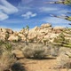 Joshua Tree National Park 2 - VideoHive Item for Sale