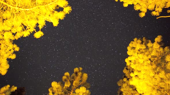 Night Sky, Time Lapse alt