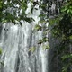Waterfall In  Rainforest 1 - VideoHive Item for Sale